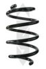 SPIDAN 86981 Coil Spring